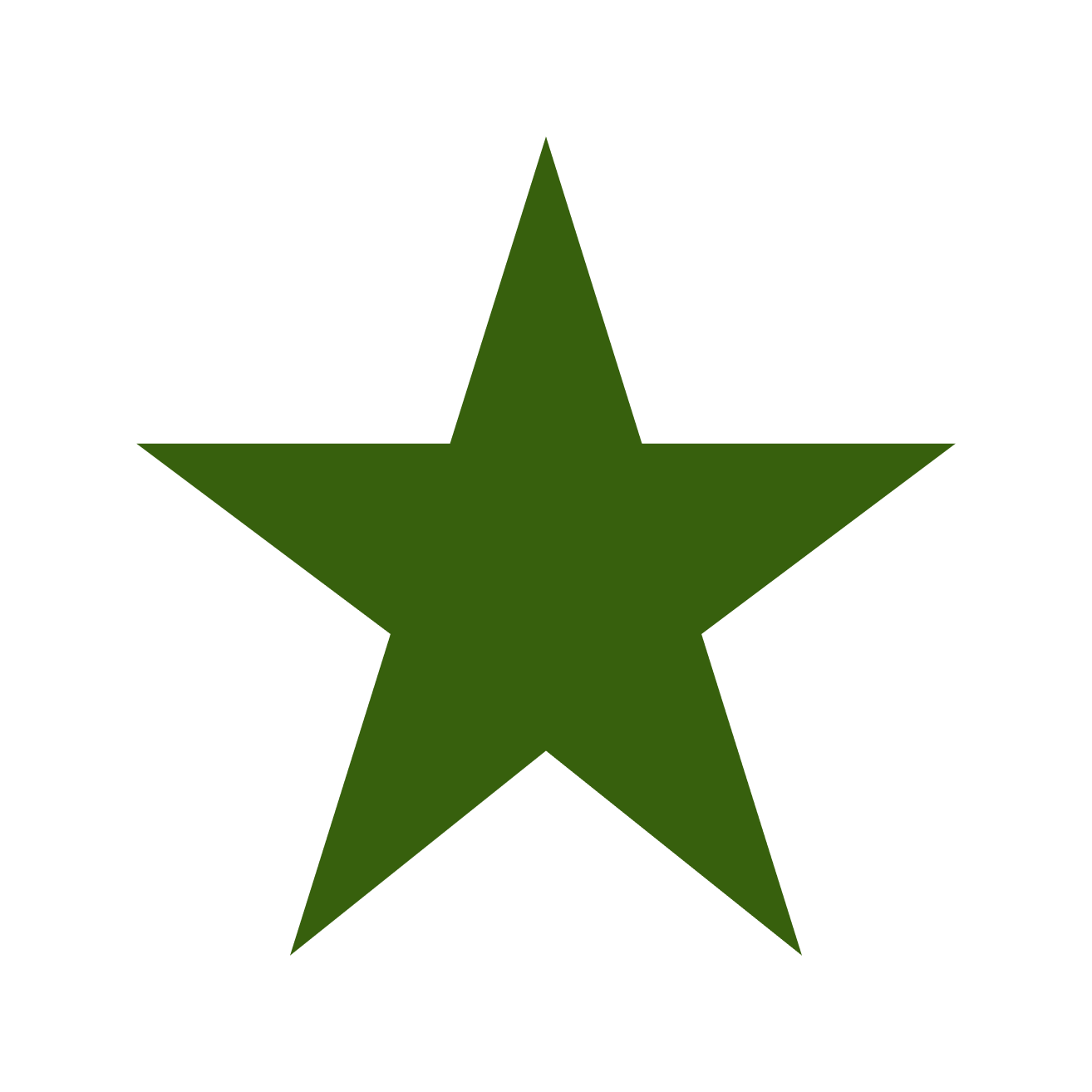 Star icon