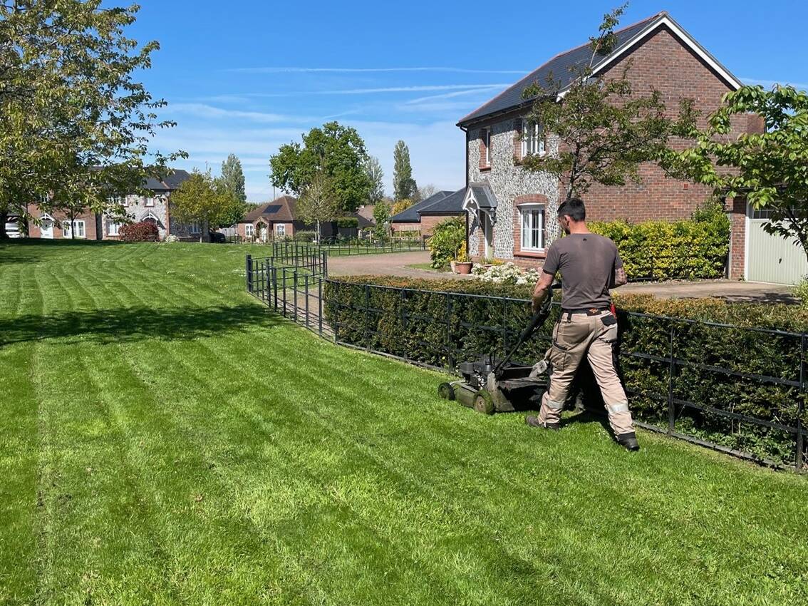 Man mowing a lawn